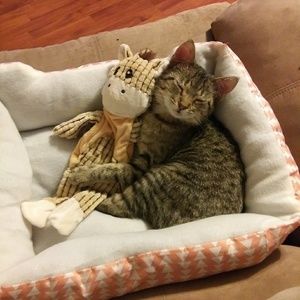 Meet your Posher, Krystal